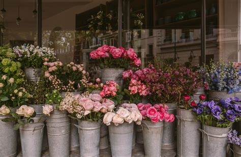 flower stores in edmonton